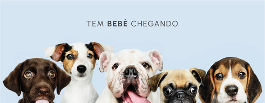 prepare seu cachorro para receber o bebê